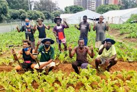 Community Farm